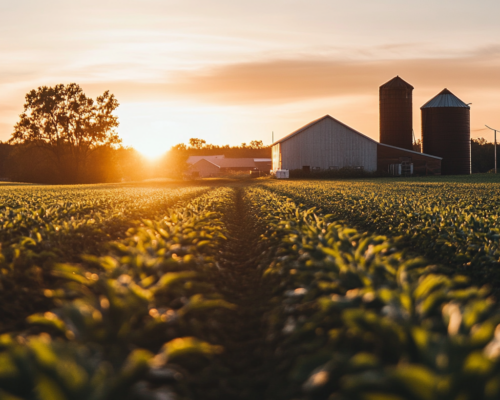 3_agricultural_industry_8k_HD_unsplas_7daf60c7-5f9b-4661-ab81-d045d19e6adf